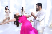 Prati Roju Pandage Press Meet